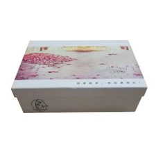 Kolekcija za cipele Box Order Cardboard Boxes Packaging
